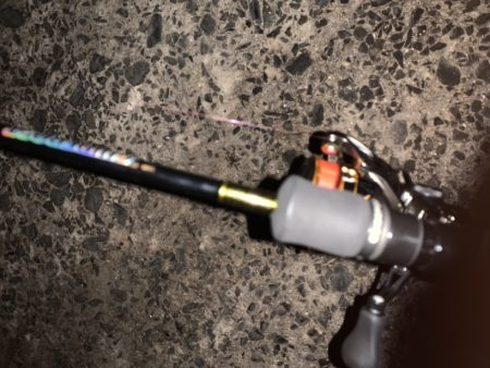 アジングで良型の…