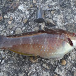 久しぶりの市役所裏