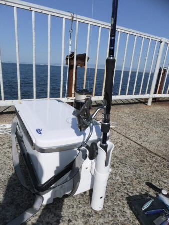 ギリ、メジロ!?