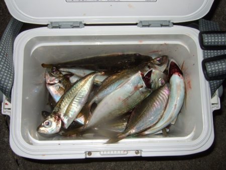 遠投してなんとかゲット