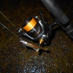 15分だけの釣り…。