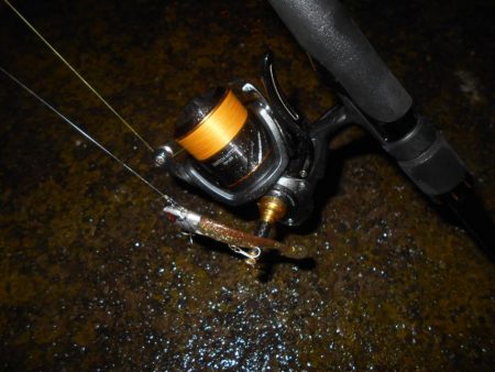 15分だけの釣り…。