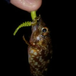 外出禁止の前に