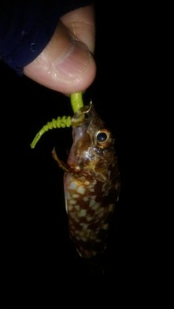 外出禁止の前に