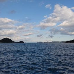 TEAMゲッソー調査隊