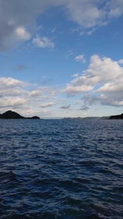 TEAMゲッソー調査隊