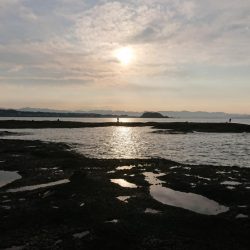 アオリイカを求めて~11月27日