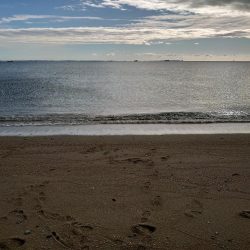 鈴鹿サーフと津の堤防にて