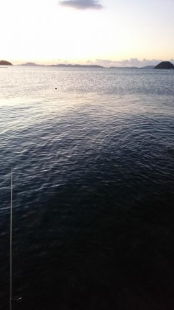 ﾊﾏちゃん久しぶり