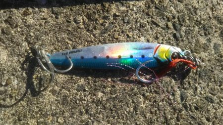 ハマチ釣れたけど…