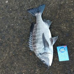 少し波が、落ちすぎたけど