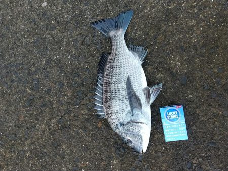 少し波が、落ちすぎたけど