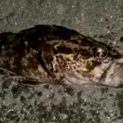 ストラクチャー際