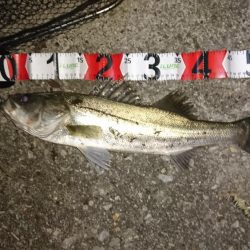 秋のハイシーズン