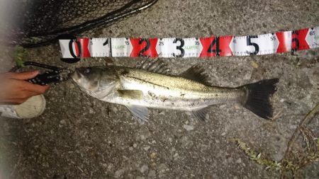 秋のハイシーズン