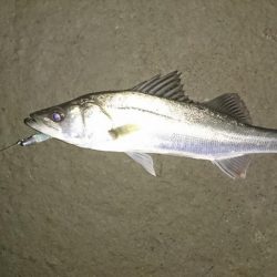 開始早々に結果が出る