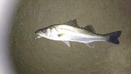 開始早々に結果が出る