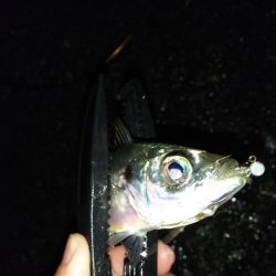 澄み潮を避けて