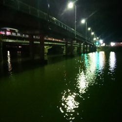 イイ感じのシーバス