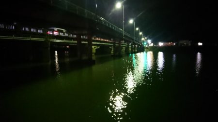 イイ感じのシーバス