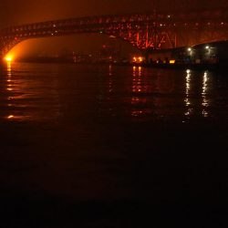 ぶら湾奥調査!!