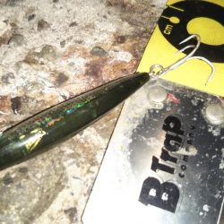 ぶらシーバス！！