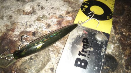 ぶらシーバス！！