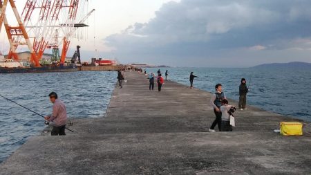 播磨新島のキスが久々に爆釣しました