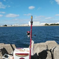 今年も不発の東二見西水路