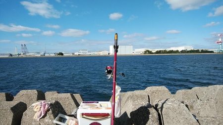 今年も不発の東二見西水路