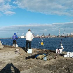 播磨新島調査後に江井ヶ島へキス釣行