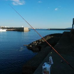 日没前の時合い狙い