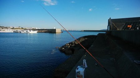日没前の時合い狙い
