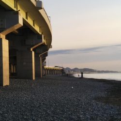 オオモンハタ☆ゲット！