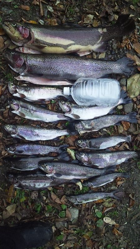 管理渓流釣り場