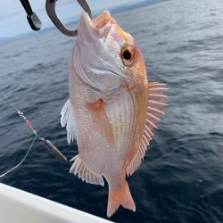 マイボート釣行