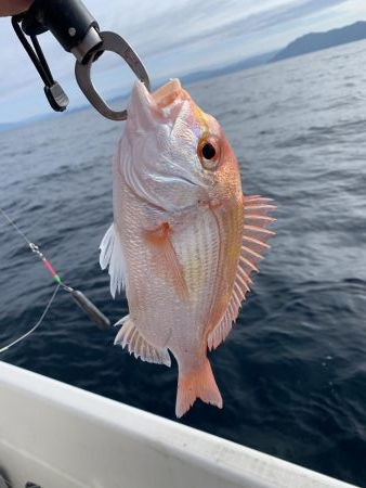 マイボート釣行