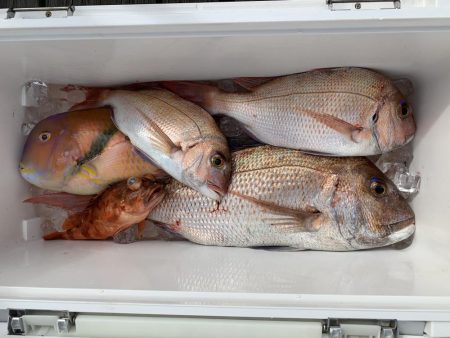 ライトジギング釣行