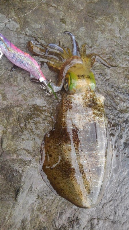 癒される～‼️…