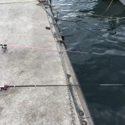 ファミリーフィッシング5