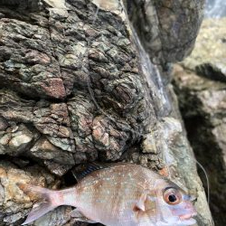 嬉しいかったけど…