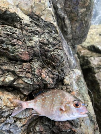 嬉しいかったけど…