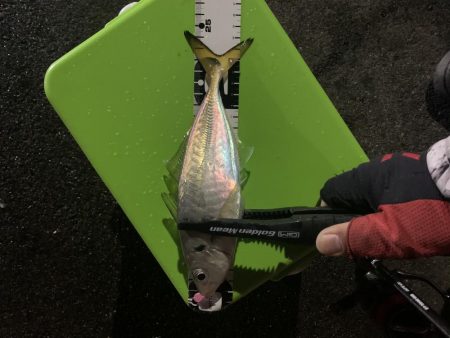 アジングからの〜ショアジギ