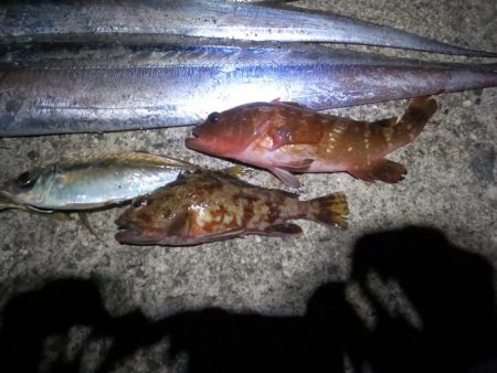 ドラゴンゲット