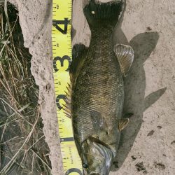 晩秋川バス釣行