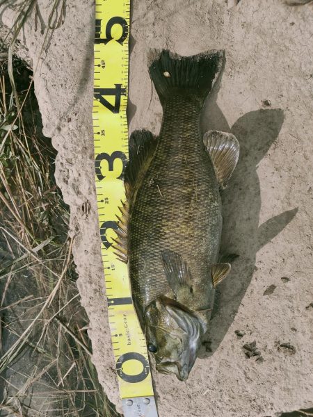 晩秋川バス釣行