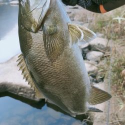 晩秋川バス釣行2