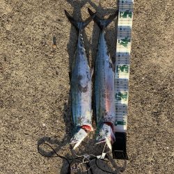 五島でカヤックフィッシング