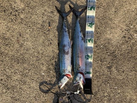 五島でカヤックフィッシング