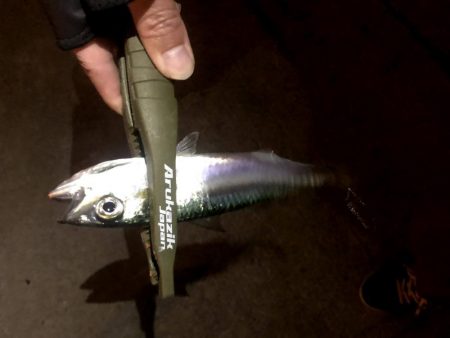 仕事終わり四目ライトゲーム